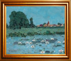 schwaan_im_sommer